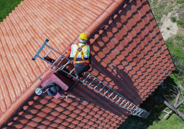 Best Skylight Installation and Repair  in Millbrook, NY